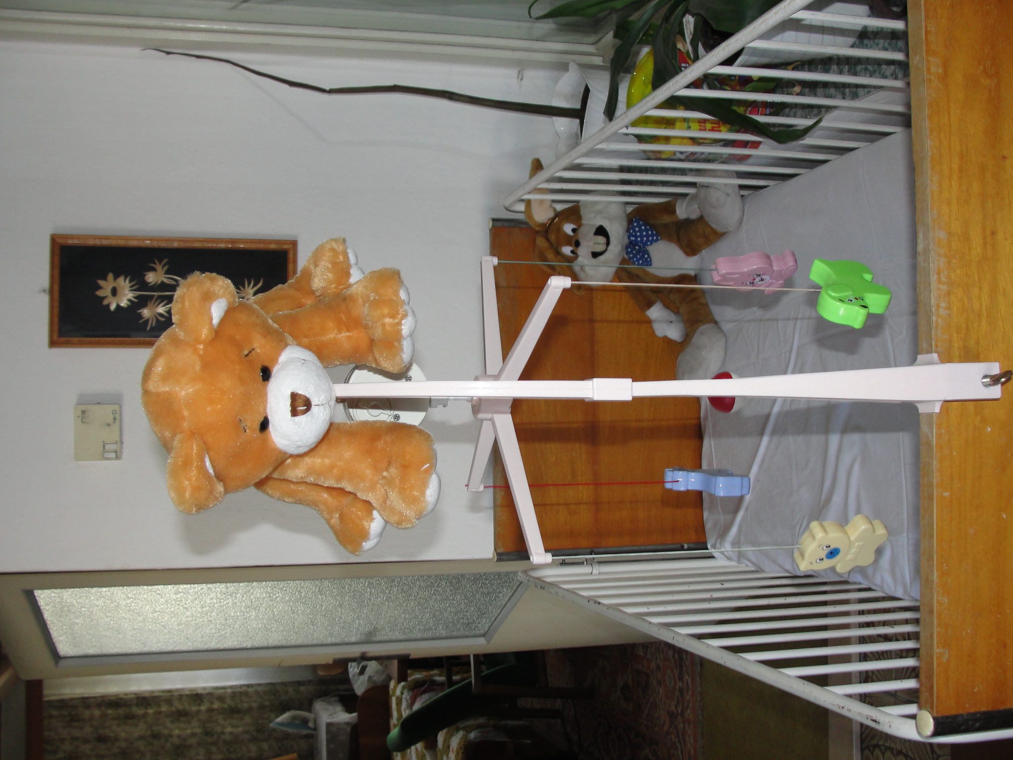 DSC00383.JPG