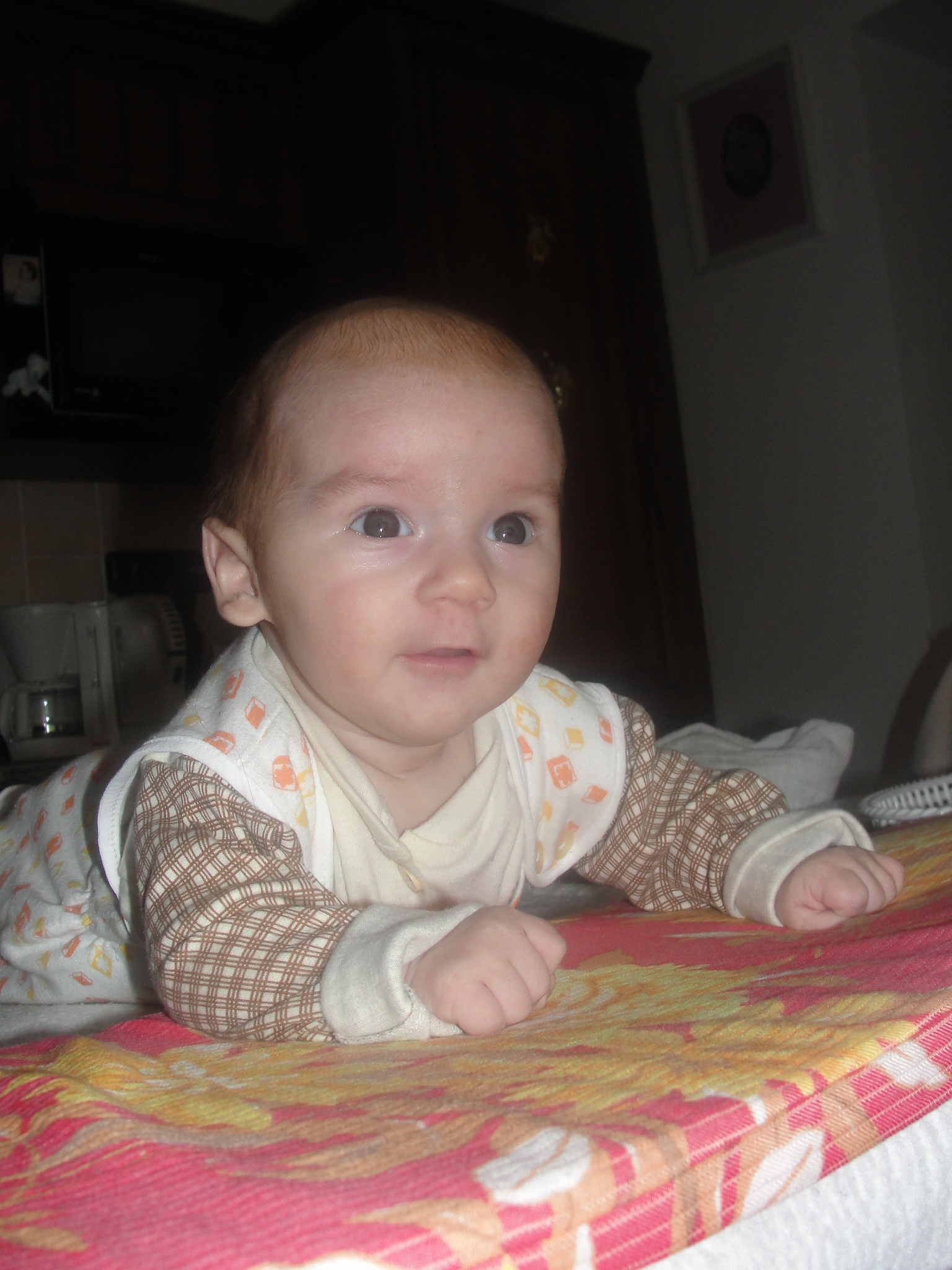 DSC00508.JPG