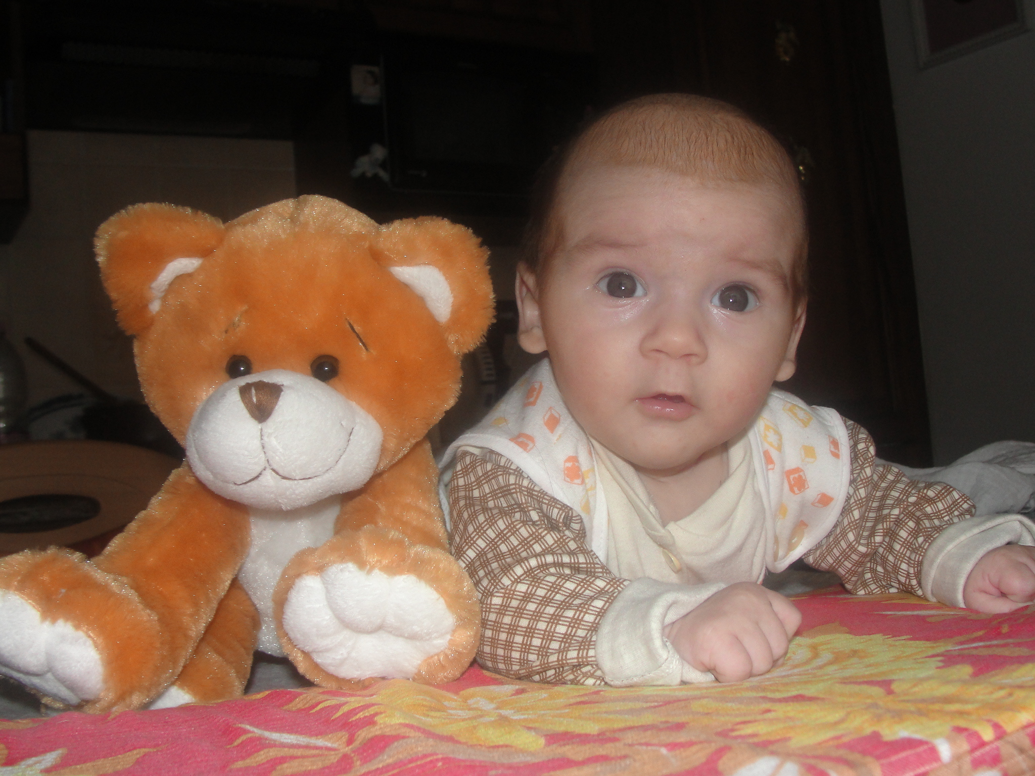 DSC00509.JPG