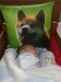 DSC00431.JPG